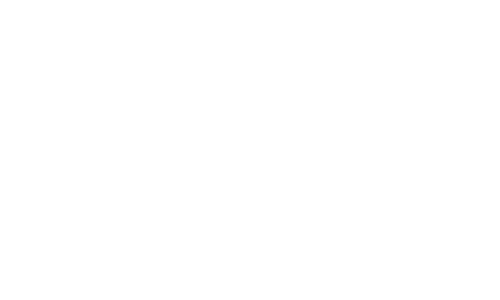 DataSub Next JS