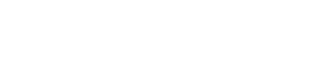 DataSub MongoDB